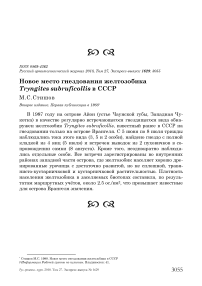 Новое место гнездования желтозобика Tryngites subruficollis в СССР