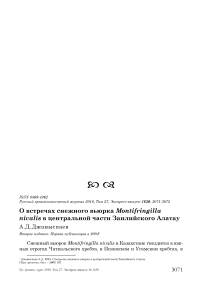 О встречах снежного вьюрка Montifringilla nivalis в центральной части Заилийского Алатау