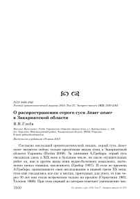 О распространении серого гуся Anser anser в Закарпатской области