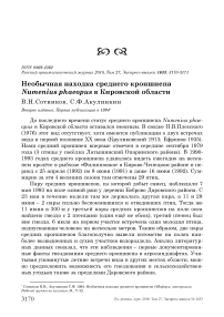 Необычная находка среднего кроншнепа Numenius phaeopus в Кировской области