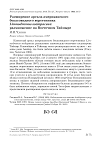 Расширение ареала американского бекасовидного веретенника Limnodromus scolopaceus: размножение на Восточном Таймыре