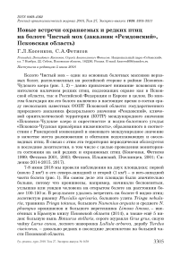 Новые встречи охраняемых и редких птиц на болоте Чистый Мох (заказник "Ремдовский", Псковская область)