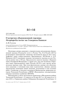 О встречах обыкновенной горлицы Streptopelia turtur на Северном Кавказе