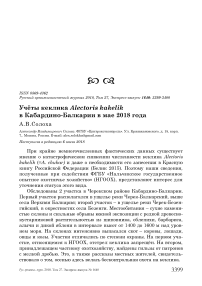 Учёты кеклика Alectoris kakelik в Кабардино-Балкарии в мае 2018 года