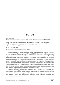 Европейский вьюрок Serinus serinus в парке музея-заповедника "Коломенское"