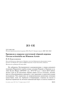 Хромизм в окраске восточной чёрной вороны Corvus orientalis на Южном Алтае