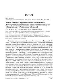 Новая находка тростниковой камышевки Acrocephalus scirpaceus в национальном парке "Мещёрский" (Рязанская область)