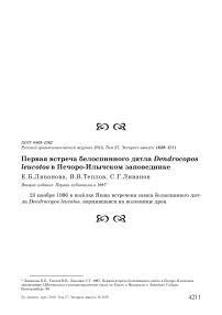 Первая встреча белоспинного дятла Dendrocopos leucotos в Печоро-Илычском заповеднике