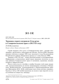 Зимовка серого журавля Grus grus в Ставропольском крае в 2017/18 году