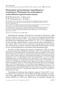 Повторные регистрации чернобрового альбатроса Thalassarche melanophris в российских арктических водах