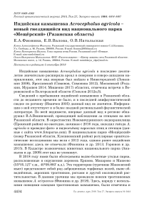 Индийская камышевка Acrocephalus agricola - новый гнездящийся вид национального парка "Мещёрский" (Рязанская область)