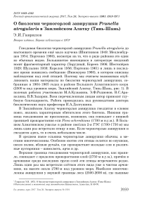 О биологии черногорлой завирушки Prunella atrogularis в Заилийском Алатау (Тянь-Шань)