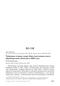 Чайковые птицы озера Айке (восточная часть Оренбургской области) в 2003 году