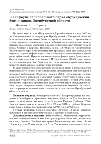 К авифауне национального парка "Бузулукский бор" и запада Оренбургской области