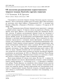 Об экологии размножения туркестанского чёрного чекана Saxicola caprata rossorum