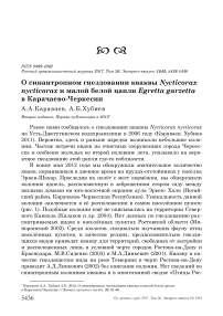 О синантропном гнездовании кваквы Nycticorax nycticorax и малой белой цапли Egretta garzetta в Карачаево-Черкесии