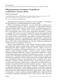 Обыкновенная чечевица Carpodacus erythrinus в дельте Дона