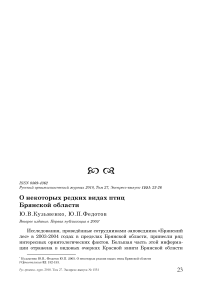 О некоторых редких видах птиц Брянской области