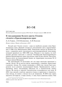 К гнездованию белого аиста Ciconia ciconia в Краснодарском крае