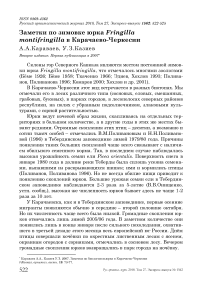 Заметки по зимовке юрка Fringilla montifringilla в Карачаево-Черкесии