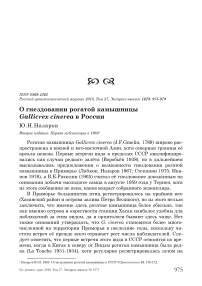 О гнездовании рогатой камышницы Gallicrex cinerea в России