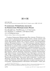 О стенолазе Tichodroma muraria на Кавказских Минеральных Водах