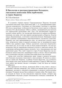 К биологии и распространению большого скального поползня Sitta tephronota в горах Каратау