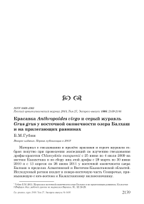 Красавка Anthropoides virgo и серый журавль Grus grus у восточной оконечности озера Балхаш и на прилегающих равнинах