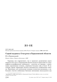 Серый журавль Grus grus в Харьковской области