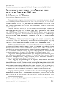 Численность зимующих гусеобразных птиц на острове Беринга в 2013 году