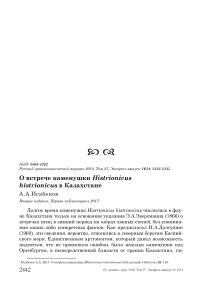 О встрече каменушки Histrionicus histrionicus в Казахстане