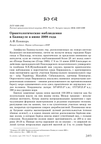 Орнитологические наблюдения в Баянауле в июне 2008 года