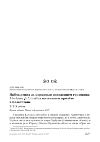 Наблюдения за кормовым поведением грязовика Limicola falcinellus на осеннем пролёте в Казахстане