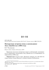 Интересные встречи птиц в заповеднике Аксу-Джабаглы в 2004 году