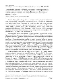 Бледный дрозд Turdus pallidus во вторичных смешанных лесах на юге Дальнего Востока