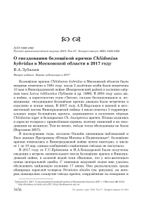 О гнездовании белощёкой крачки Chlidonias hybridus в Московской области в 2017 году