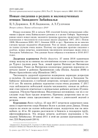 Новые сведения о редких и малоизученных птицах Западного Забайкалья