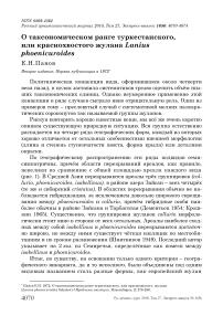О таксономическом ранге туркестанского, или краснохвостого жулана Lanius phoenicuroides