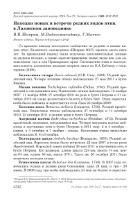 Находки новых и встречи редких видов птиц в Лазовском заповеднике