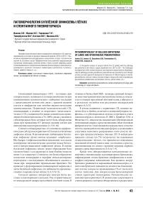Патоморфология буллёзной эмфиземы лёгких и спонтанного пневмоторакса