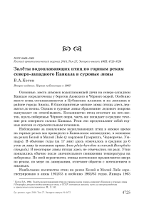 Залёты водоплавающих птиц по горным рекам Северо-Западного Кавказа в суровые зимы