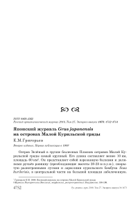 Японский журавль Grus japonensis на островах Малой Курильской гряды