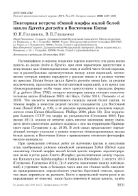 Повторная встреча тёмной морфы малой белой цапли Egretta garzetta в Восточном Китае