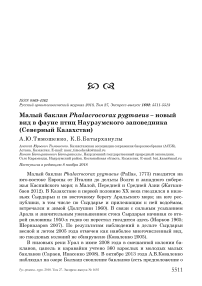 Малый баклан Phalacrocorax pygmaeus - новый вид в фауне птиц Наурзумского заповедника (Северный Казахстан)