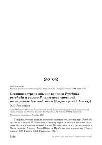 Осенняя встреча обыкновенного Pyrrhula pyrrhula и серого P. cineracea снегирей на перевале Алтын-Эмель (Джунгарский Алатау)