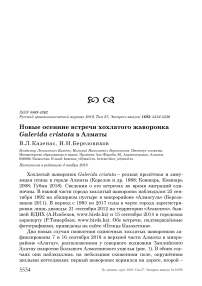 Новые осенние встречи хохлатого жаворонка Galerida cristata в Алматы