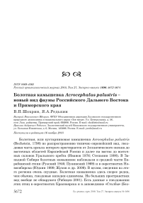 Болотная камышевка Acrocephalus palustris - новый вид фауны российского Дальнего Востока и Приморского края