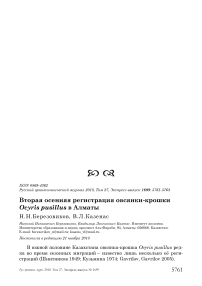 Вторая осенняя регистрация овсянки-крошки Ocyris pusillus в Алматы