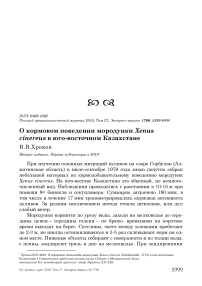 О кормовом поведении мородунки Xenus cinereus в Юго-Восточном Казахстане