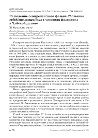 Разведение семиреченского фазана Phasianus colchicus Mongolicus в условиях фазанария в Чуйской долине